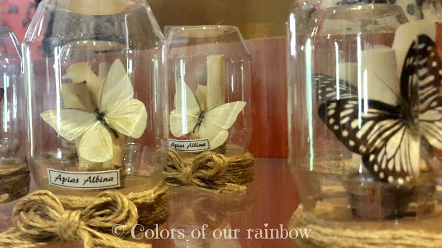 Learning About Butterflies: DUBAI BUTTERFLY GARDEN @http://colorsofourrainbow.blogspot.ae/