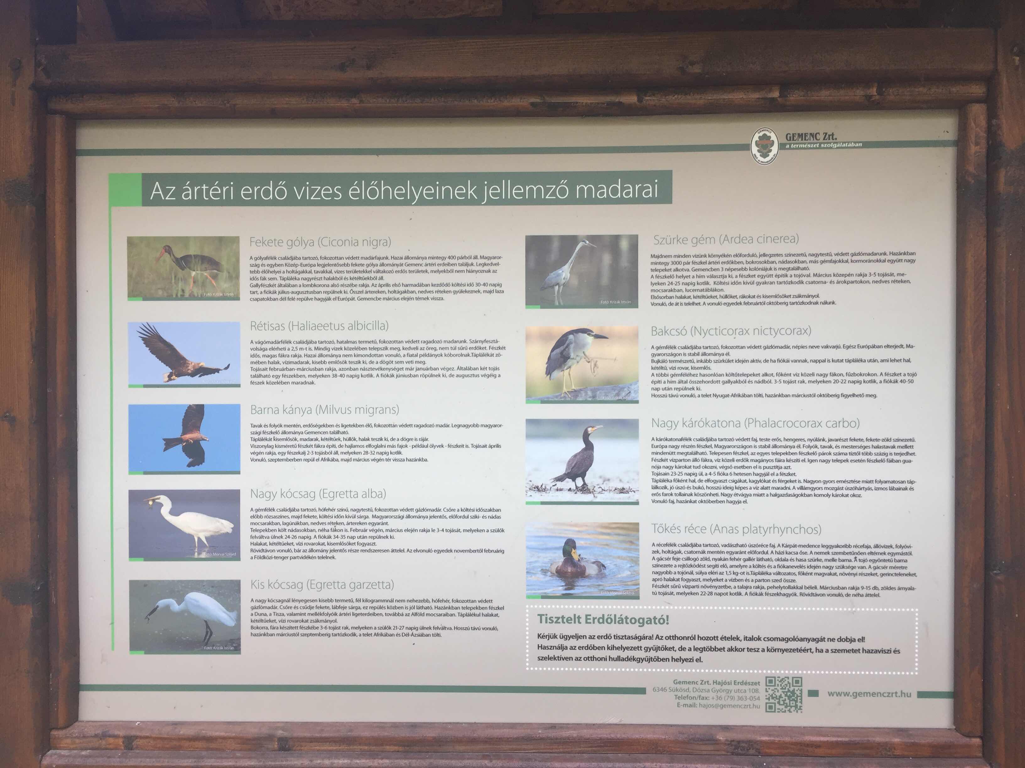 Hungarian birds