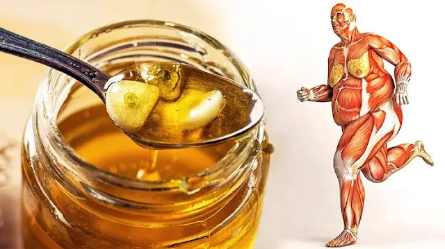 Why You Should Start Eating Honey And Nuts Every Day?