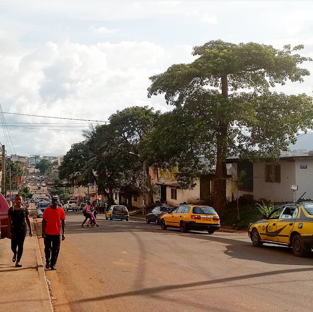 Cameroon street