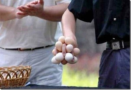 egg