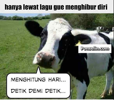 Kumpulan Meme dan Gambar Kocak Hewan Qurban yang Mengundang Tawa Terbaru  Kumpulan Meme dan Gambar Kocak Hewan Qurban yang Mengundang Tawa Terbaru 2018 