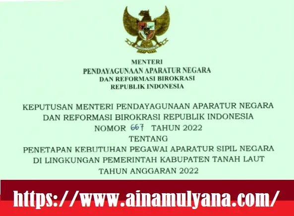 Rincian Formasi ASN PPPK Kabupaten Tanah Laut Provinsi Kalimantan Selatan Tahun 2022