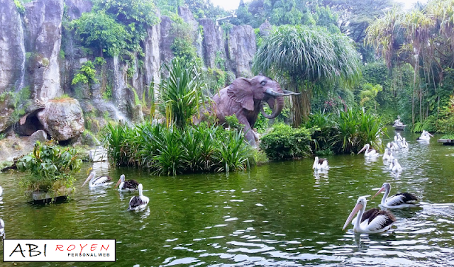 Tempat Wisata Di Jakarta Yang Paling Pas Kebun Binatang Ragunan