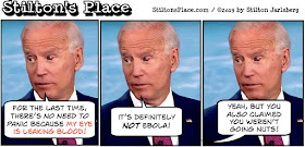 stilton’s place, stilton, political, humor, conservative, cartoons, jokes, hope n’ change, joe biden, eye, blood, cnn