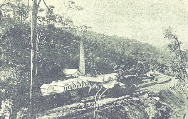 Collieries at Work in the Illawarra or Southern District - The Metropolitan Colliery, Helensburgh 1896