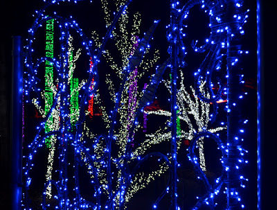 Garden Lights Holiday Nights, Atlanta Botanical Garden