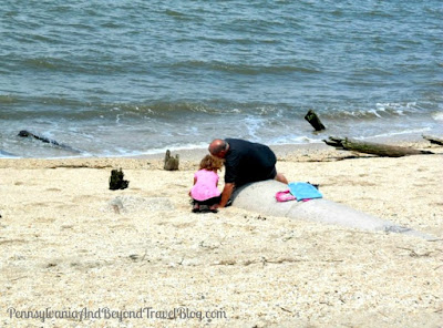 Hunting for Cape May Diamonds on Higbee Beach in New Jersey