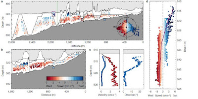 Secciones transversales y perfiles verticales de velocidad y dirección de corriente en el glaciar Thwaites