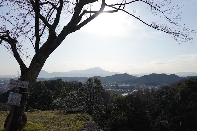 鳥取県米子市久米町 米子城跡 ソメイヨシノ桜