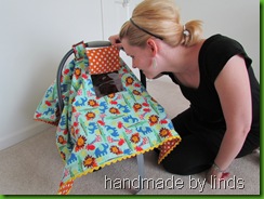 car seat tent 022