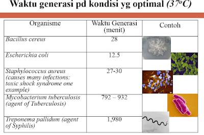 kurva pertumbuhan bakteri, waktu generasi bakteri, Pembelahan biner pada bakteri, Proses konjugasi pada bakteri,transduksi bakteri