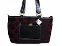 Being Elegant yet Economical is certainly a mindset: Choose Affordable Designer Handbags
