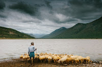 Shepherd - Photo by joseph d'mello on Unsplash