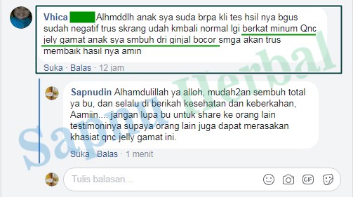 Obat Infeksi Ginjal Alami