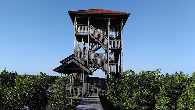 Gardu Pandang di Mangrove Karimunjawa menjulang tinggi