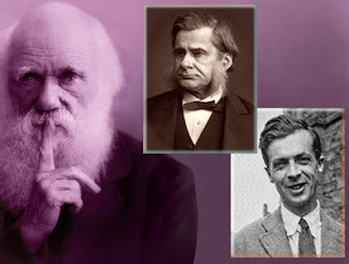 There were many factors that made Darwin's story successful. The Huxleys were instrumental in promoting Darwinism through conspiracies and influence.