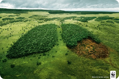 WWF-Lungs-o