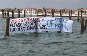 Cyber-protesta: puerto-morelenses piden en la Red clausura de delfinario en Parque Nacional Arrecife 