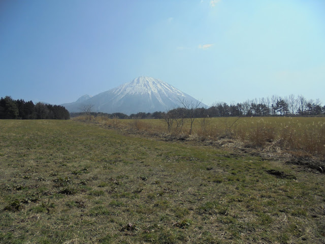 牧草地越しに見える大山の風景