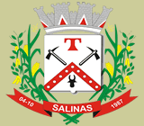 Brasão de Salinas