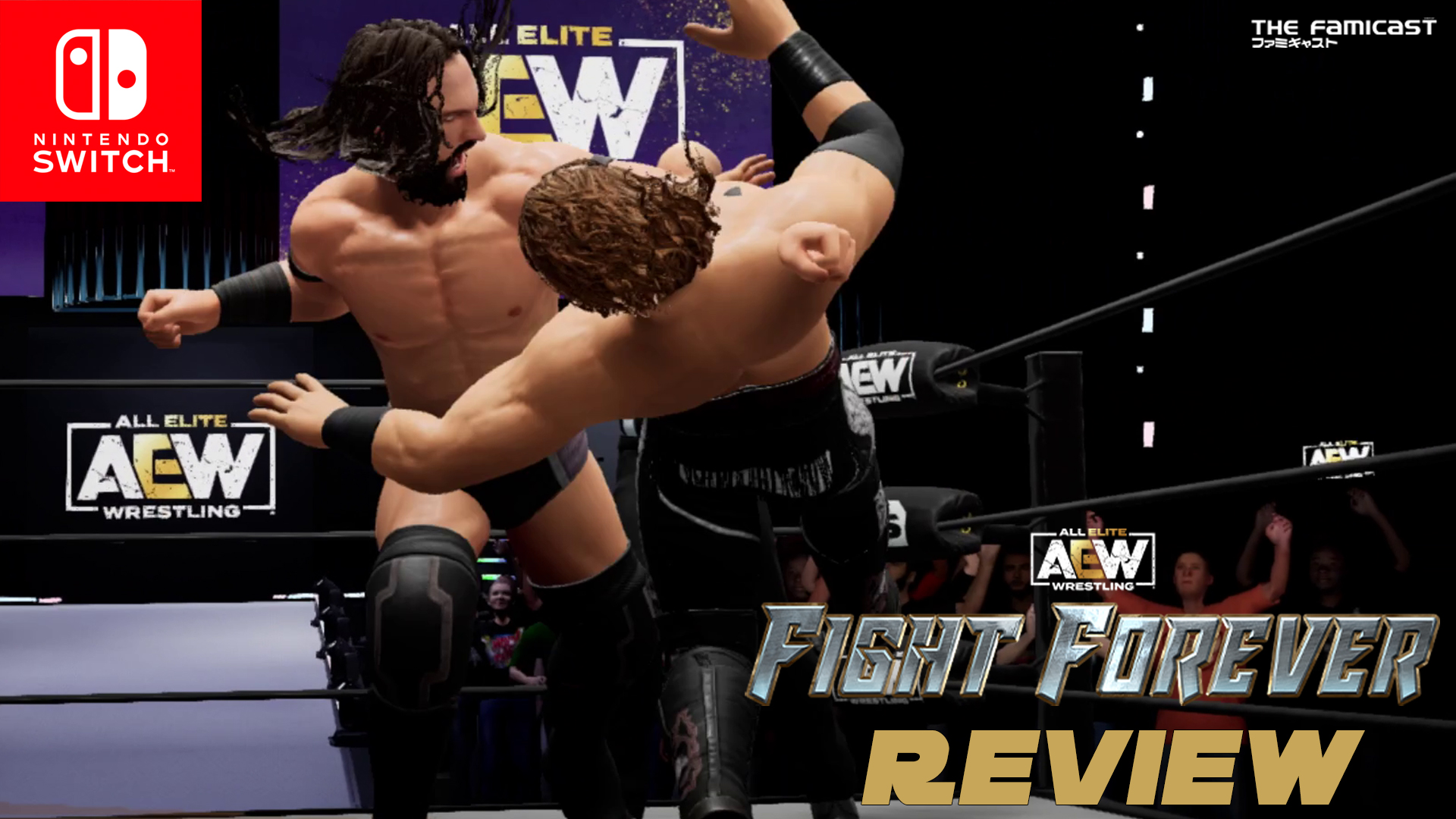 AEW: Fight Forever | Review | Switch