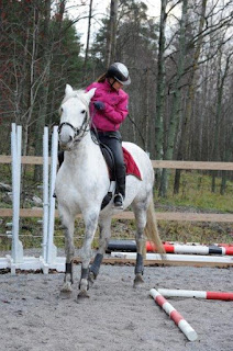 working equitation, riitta reissaa, katarina cozmei