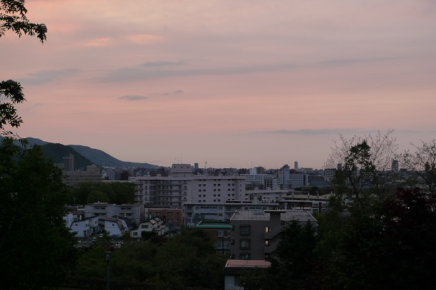 P1110969.jpg