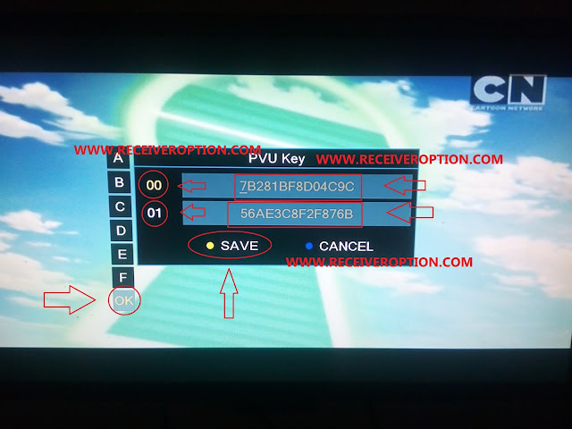 PREMAX P1000 HD RECEIVER POWERVU KEY OPTION