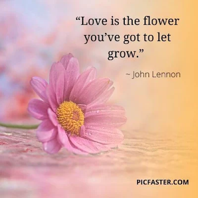 Beautiful Flowers images with quotes for whatsapp dp