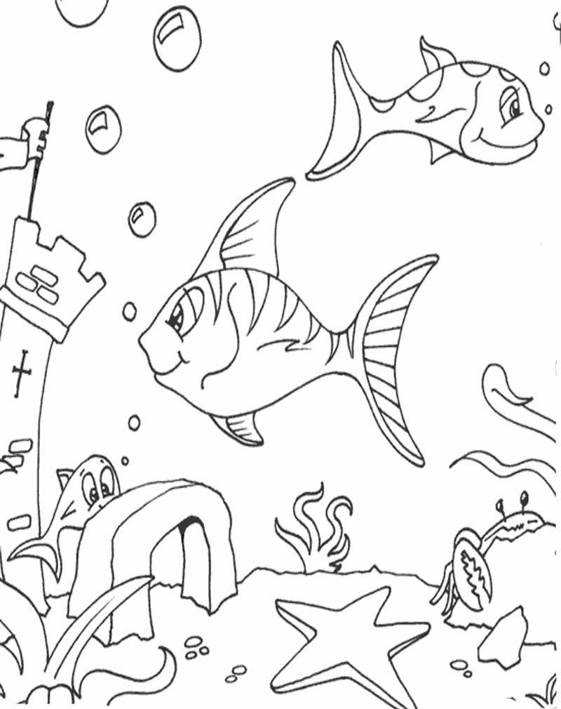 Kumpulan Gambar Sketsa Ikan Di Aquarium Sketsabaru