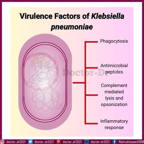 Virulence Factors of K. pneumoniae