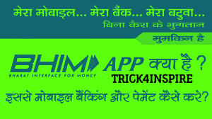 BHIM App Kya hai -Download aur Upyog Kaise Kare ! Full Guide In Hindi