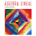 Algebra Lineal 8va ed. - Bernard Kolman