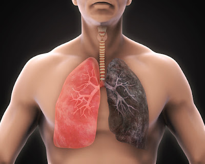 Top 7 Evergreen Tips To Keep Your Lungs Healthy And Functional