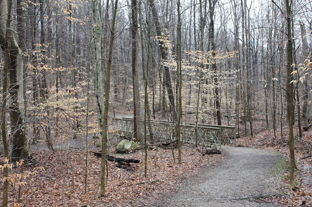 Trail to Blue Hen Falls with a bridge in Ohio