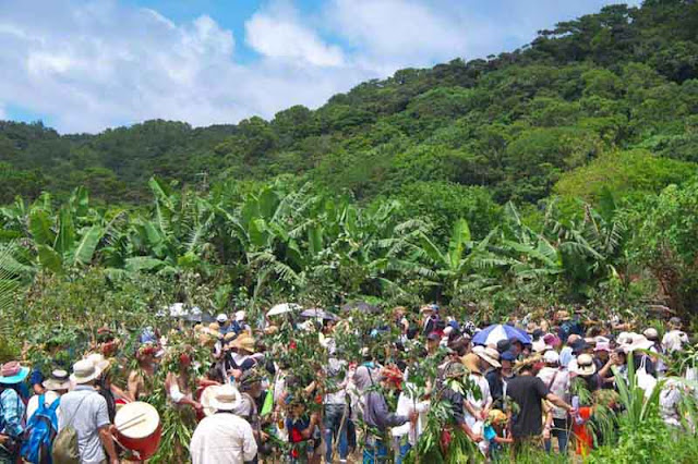 drums, banana, field, men, women, rituals