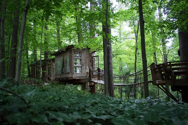 Atlanta treehouse