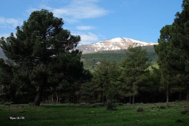 Jérez del Marquesado, Sendero Solidario el Avión, Orilla Estremera