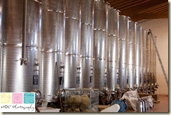 Gelisi Antonio Winery - Aviano, Italy (9 of 22)