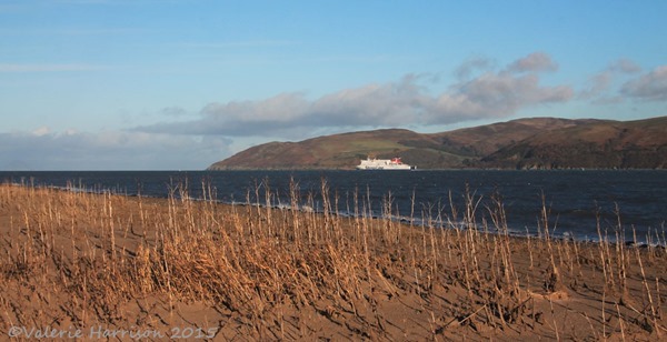 7-Loch-Ryan