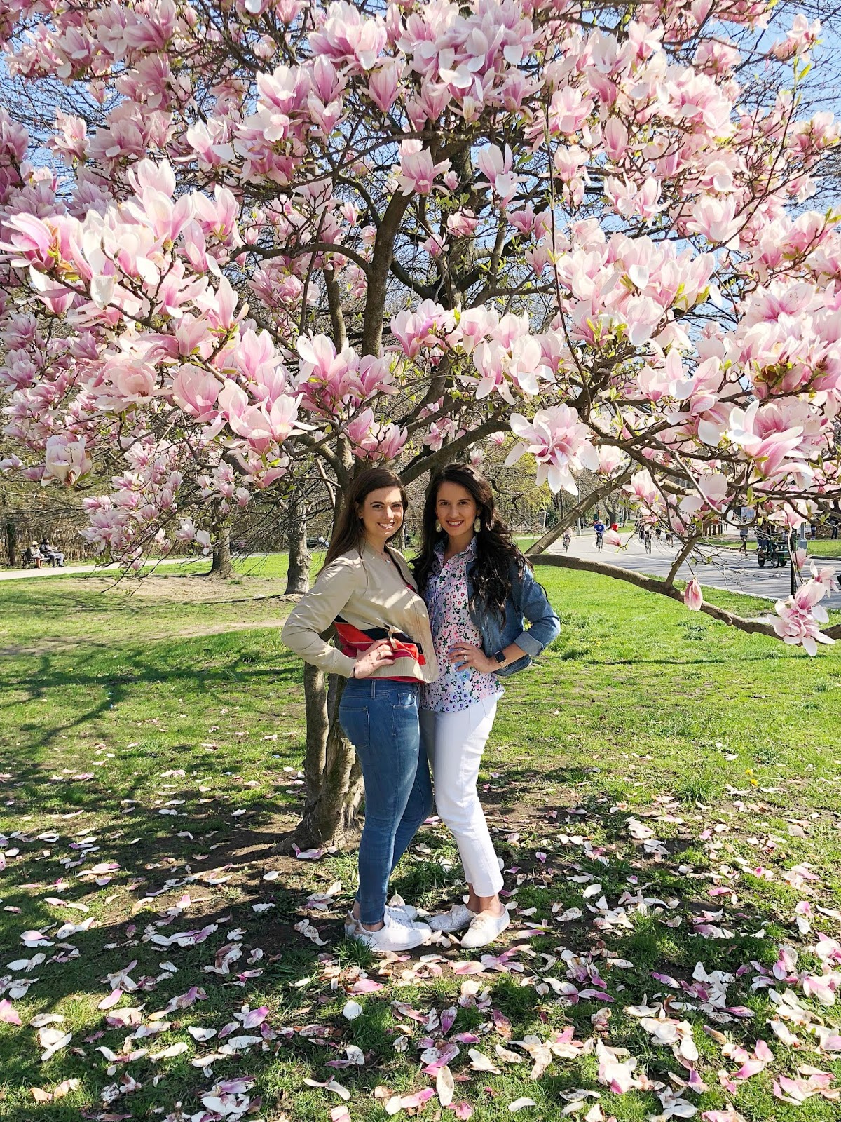 Flowers in Brooklyn Botanic Garden, Spring 2018, New York City, Photos by Jessica Marie Kelley