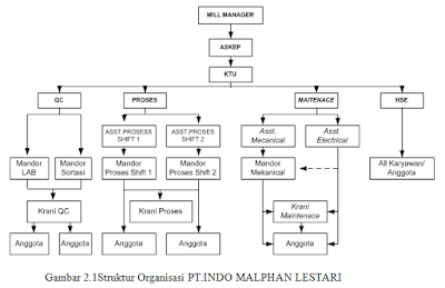 Struktur Organisasi PT.INDO MALPHAN LESTARI
