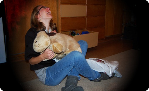 pillowpet