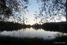 Kveldstur med geocaching i Baneheia