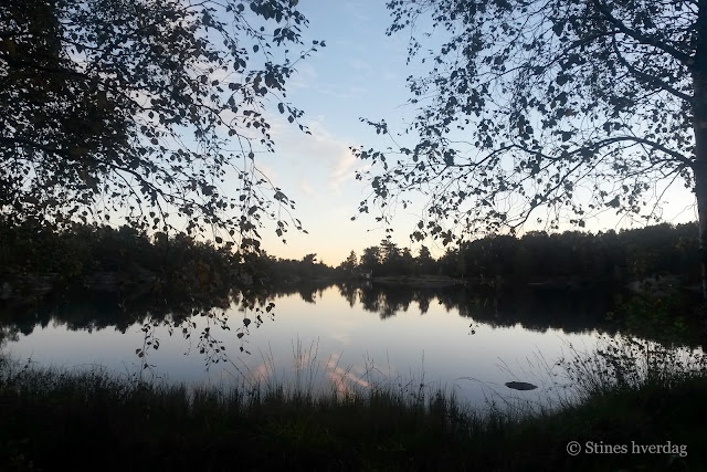 Kveldstur med geocaching i Baneheia