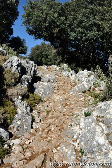 Calzada de Villaluenga a Grazalema