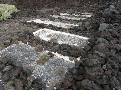 MALPAIS DE GÜIMAR (PUERTO DE GÜIMAR - TENERIFE), antiguas salinas al lado del sendero