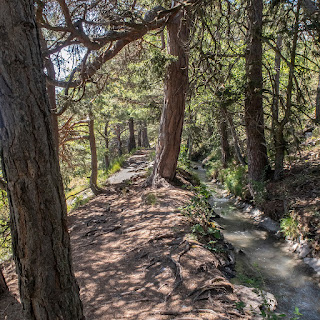 Entlang der Grossi Wasserleitu, einer 6 Kilometer langen Suone oberhalb von Salgesch.