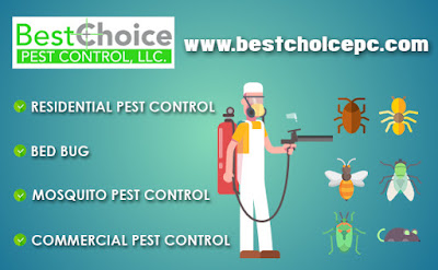 Residential pest control services